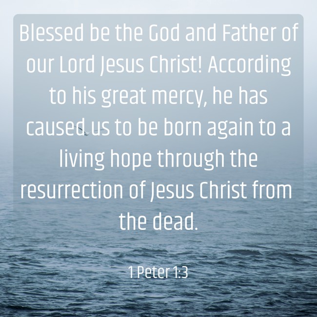 Blessed be the God and Father of our Lord Jesus Christ! According to his great mercy, he has caused us to be born again to a living hope through the resurrection of Jesus Christ from the dead. - 1 Peter 1:3