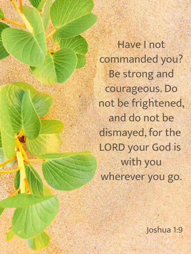 Have I not commanded you? Be strong and courageous. Do not be frightened, and do not be dismayed, for the LORD your God is with you wherever you go. - Joshua 1:9