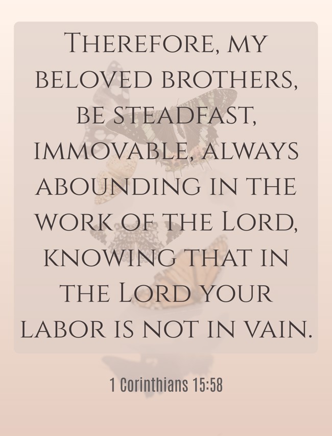 Therefore, my beloved brothers, be steadfast, immovable, always abounding in the work of the Lord, knowing that in the Lord your labor is not in vain. - 1 Corinthians 15:58