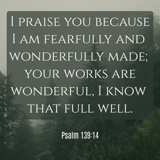 I praise you because I am fearfully and wonderfully made; your works are wonderful, I know that full well. - Psalm 139:14