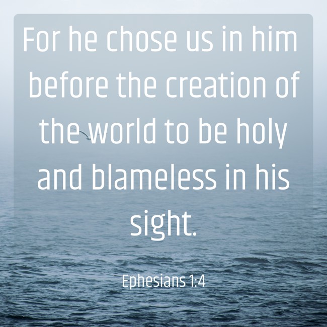 For he chose us in him before the creation of the world to be holy and blameless in his sight. - Ephesians 1:4