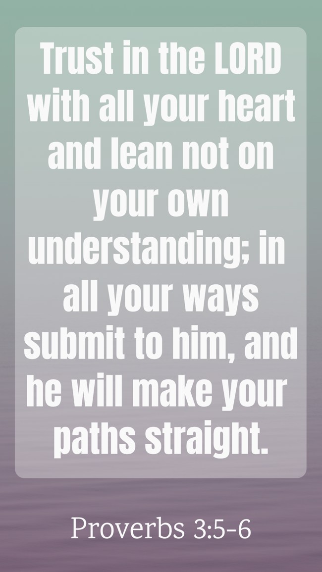 Trust in the LORD with all your heart and lean not on your own understanding; in all your ways submit to him, and he will make your paths straight. - Proverbs 3:5-6