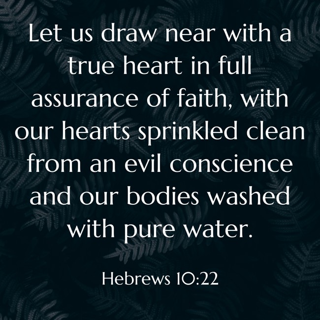 Let us draw near with a true heart in full assurance of faith, with our hearts sprinkled clean from an evil conscience and our bodies washed with pure water. - Hebrews 10:22