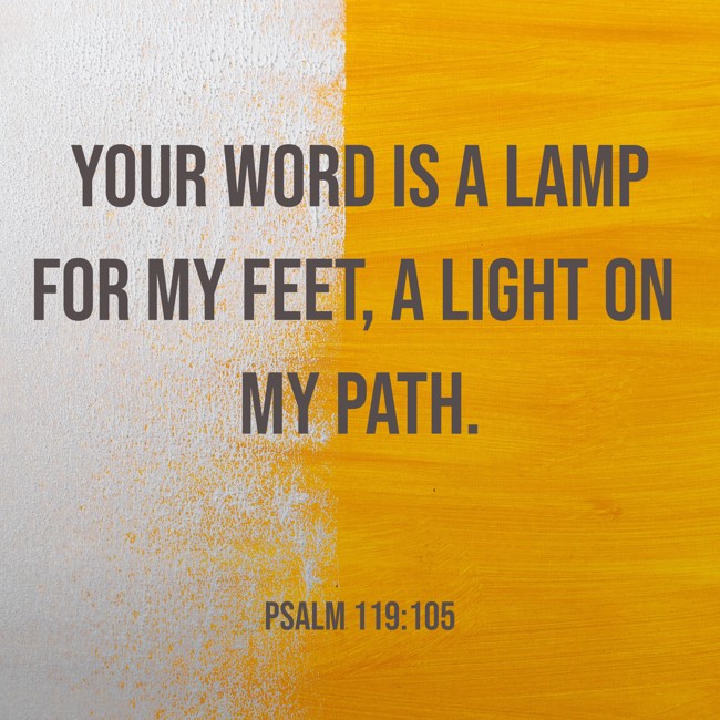 Your word is a lamp for my feet, a light on my path. - Psalm 119:105