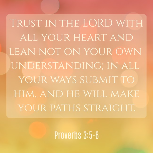 Trust in the LORD with all your heart and lean not on your own understanding; in all your ways submit to him, and he will make your paths straight. - Proverbs 3:5-6