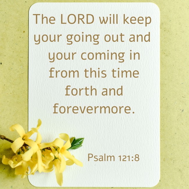 The LORD will keep your going out and your coming in from this time forth and forevermore. - Psalm 121:8