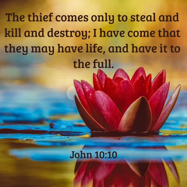 The thief comes only to steal and kill and destroy; I have come that they may have life, and have it to the full. - John 10:10