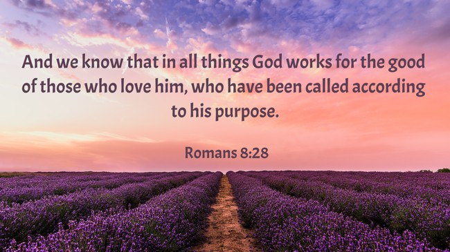 And we know that in all things God works for the good of those who love him, who have been called according to his purpose. - Romans 8:28