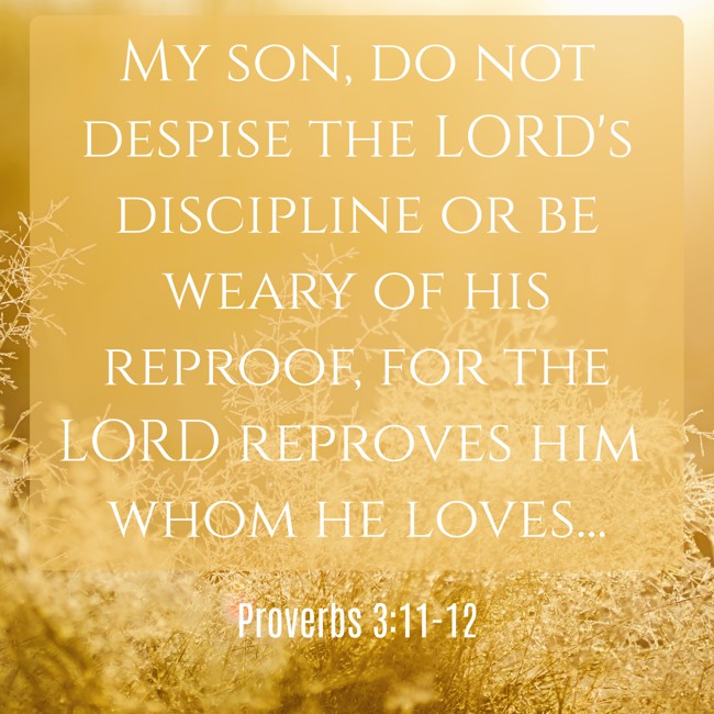 My son, do not despise the LORD's discipline or be weary of his reproof, for the LORD reproves him whom he loves... - Proverbs 3:11-12