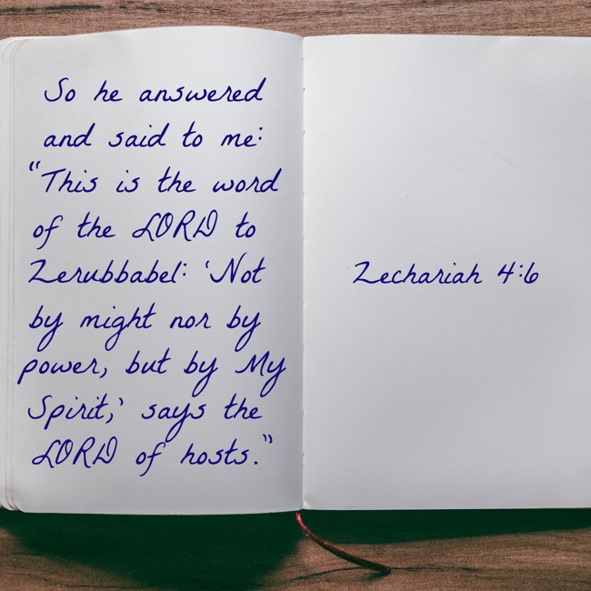  So he answered and said to me: “This is the word of the LORD to Zerubbabel: ‘Not by might nor by power, but by My Spirit,’ says the LORD of hosts.” - Zechariah 4:6 