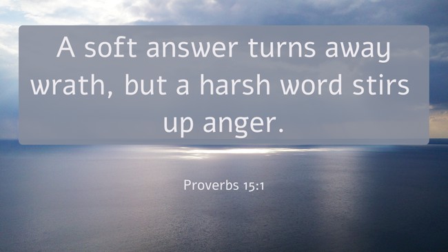  A soft answer turns away wrath, but a harsh word stirs up anger.   - Proverbs 15:1 
