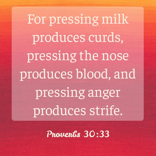  For pressing milk produces curds, pressing the nose produces blood, and pressing anger produces strife.   - Proverbs 30:33 