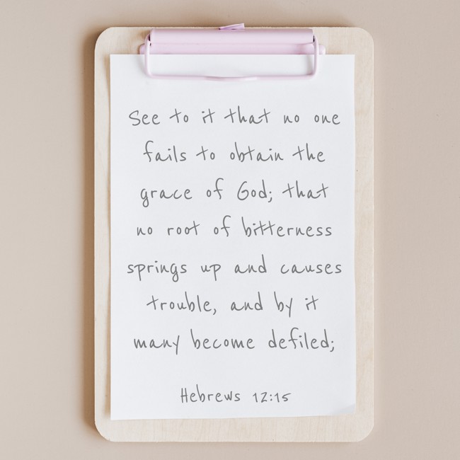  See to it that no one fails to obtain the grace of God; that no root of bitterness springs up and causes trouble, and by it many become defiled;   - Hebrews 12:15 