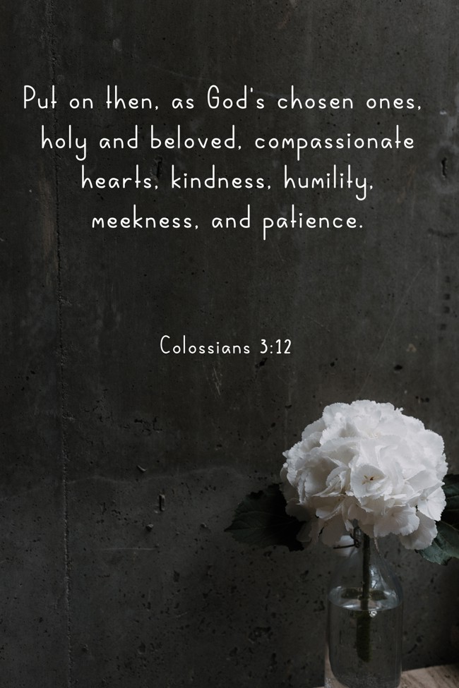  Put on then, as God's chosen ones, holy and beloved, compassionate hearts, kindness, humility, meekness, and patience.   - Colossians 3:12 
