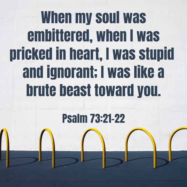  When my soul was embittered, when I was pricked in heart, I was stupid and ignorant; I was like a brute beast toward you.   - Psalm 73:21-22 