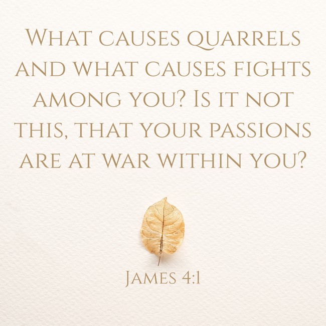  What causes quarrels and what causes fights among you? Is it not this, that your passions are at war within you? - James 4:1 