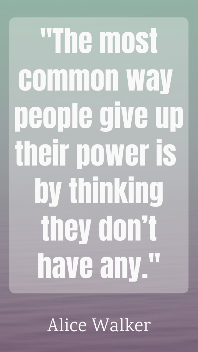  The most common way people give up their power is by thinking they don’t have any.   - Alice Walker 