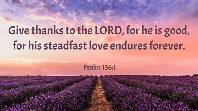 Give thanks to the LORD, for he is good, for his steadfast love endures forever. - Psalm 136:1