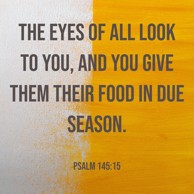 The eyes of all look to you, and you give them their food in due season. - Psalm 145:15