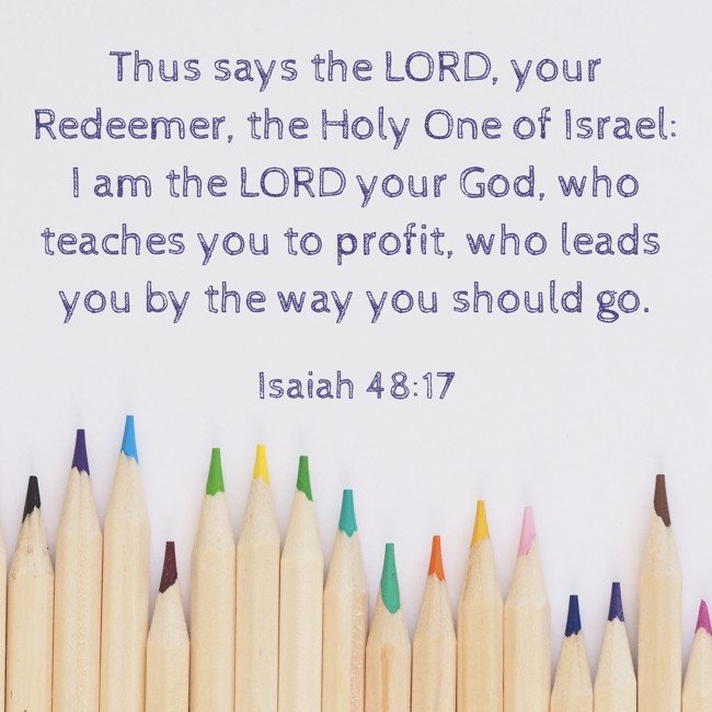 Thus says the LORD, your Redeemer, the Holy One of Israel: I am the LORD your God, who teaches you to profit, who leads you by the way you should go. - Isaiah 48:17