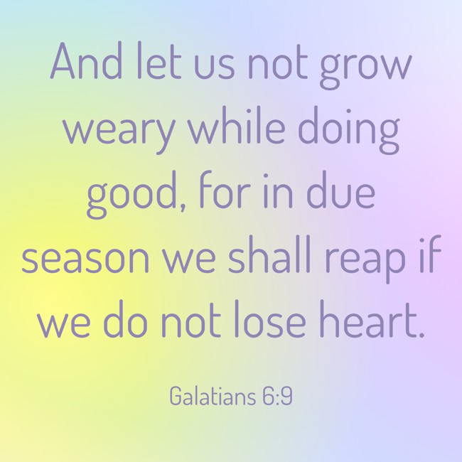 And let us not grow weary while doing good, for in due season we shall reap if we do not lose heart. - Galatians 6:9
