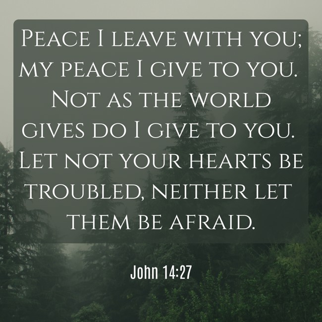  Peace I leave with you; my peace I give to you. Not as the world gives do I give to you. Let not your hearts be troubled, neither let them be afraid.   - John 14:27 