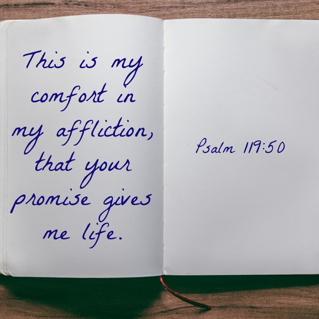  This is my comfort in my affliction, that your promise gives me life.   - Psalm 119:50 