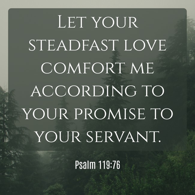  Let your steadfast love comfort me according to your promise to your servant.   - Psalm 119:76 