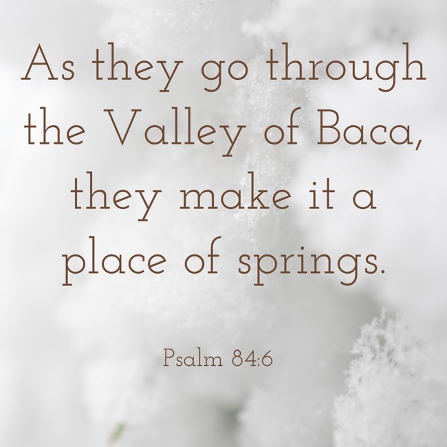 As they go through the Valley of Baca, they make it a place of springs. - Psalm 84:6