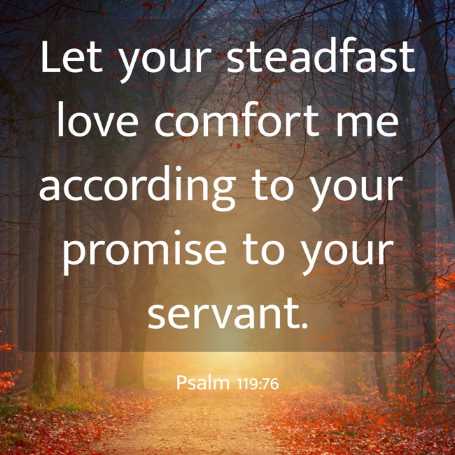Let your steadfast love comfort me according to your promise to your servant. - Psalm 119:76