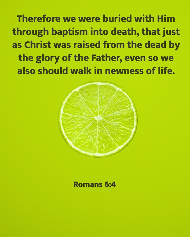 Therefore we were buried with Him through baptism into death, that just as Christ was raised from the dead by the glory of the Father, even so we also should walk in newness of life. - Romans 6:4