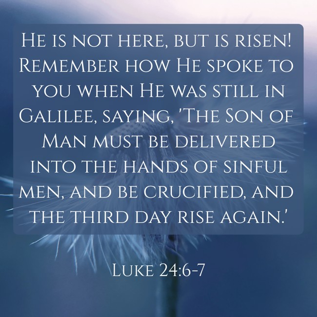 He is not here, but is risen! Remember how He spoke to you when He was still in Galilee, saying, 'The Son of Man must be delivered into the hands of sinful men, and be crucified, and the third day rise again.' - Luke 24:6-7
