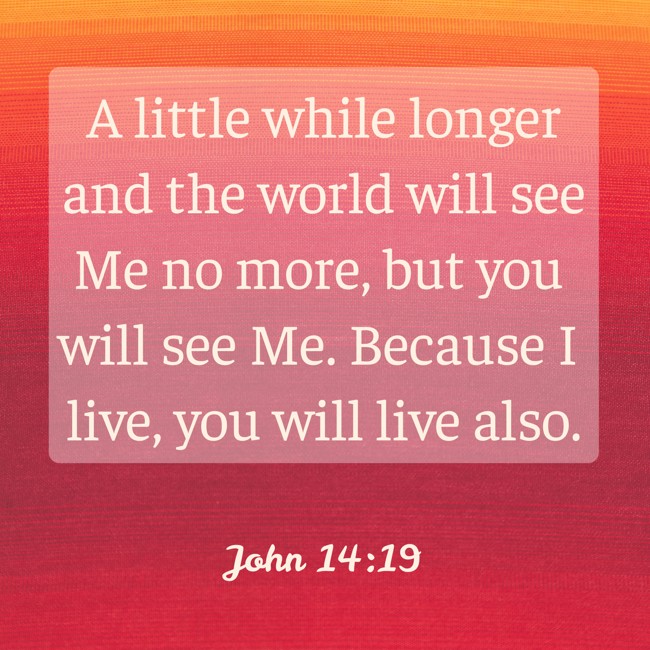 A little while longer and the world will see Me no more, but you will see Me. Because I live, you will live also. - John 14:19