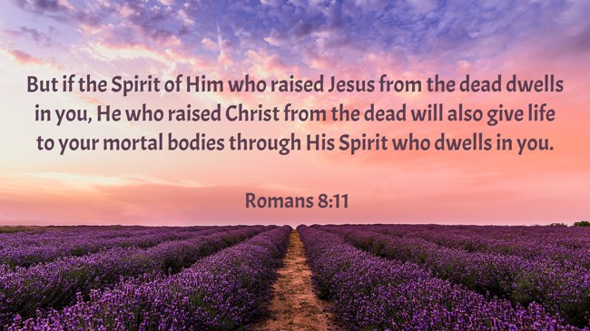 But if the Spirit of Him who raised Jesus from the dead dwells in you, He who raised Christ from the dead will also give life to your mortal bodies through His Spirit who dwells in you. - Romans 8:11