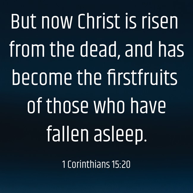 But now Christ is risen from the dead, and has become the firstfruits of those who have fallen asleep. - 1 Corinthians 15:20