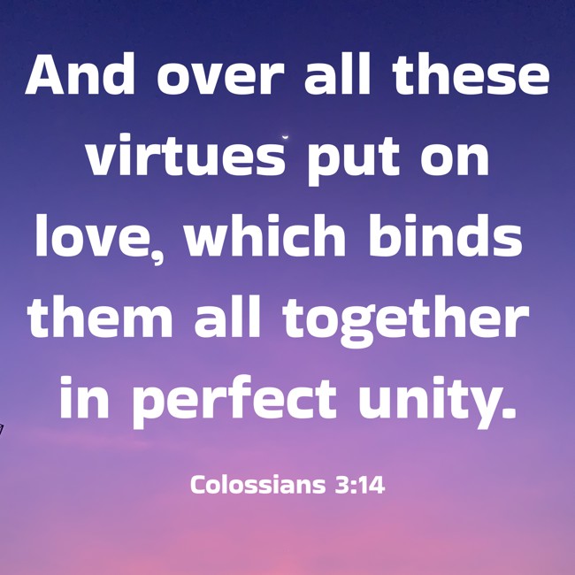 And over all these virtues put on love, which binds them all together in perfect unity. - Colossians 3:14