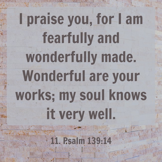 I praise you, for I am fearfully and wonderfully made. Wonderful are your works; my soul knows it very well. - 11. Psalm 139:14