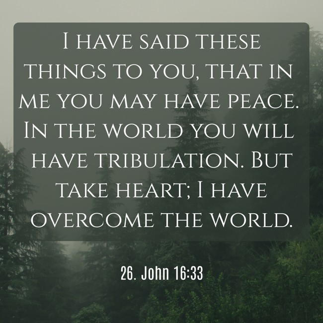I have said these things to you, that in me you may have peace. In the world you will have tribulation. But take heart; I have overcome the world. - 26. John 16:33