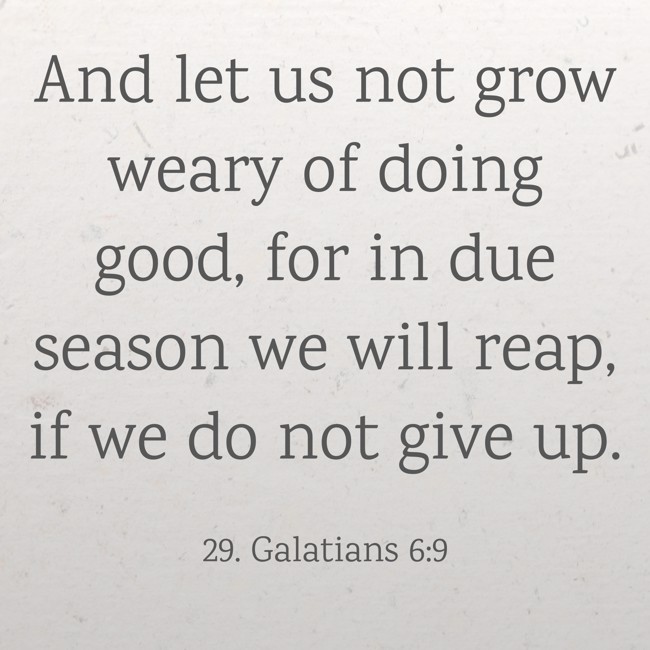 And let us not grow weary of doing good, for in due season we will reap, if we do not give up. - 29. Galatians 6:9