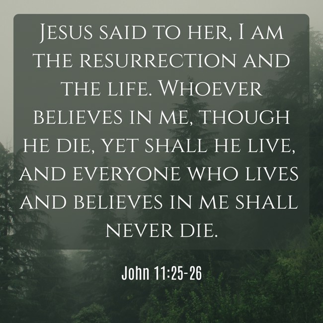 Jesus said to her, I am the resurrection and the life. Whoever believes in me, though he die, yet shall he live, and everyone who lives and believes in me shall never die. - John 11:25-26