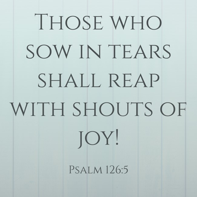 Those who sow in tears shall reap with shouts of joy! - Psalm 126:5