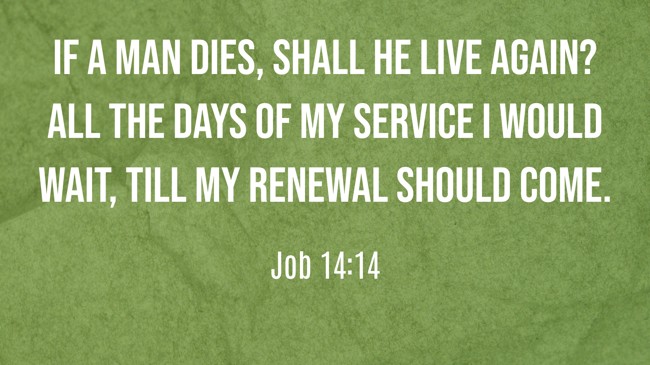 If a man dies, shall he live again? All the days of my service I would wait, till my renewal should come. - Job 14:14