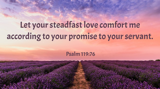 Let your steadfast love comfort me according to your promise to your servant. - Psalm 119:76