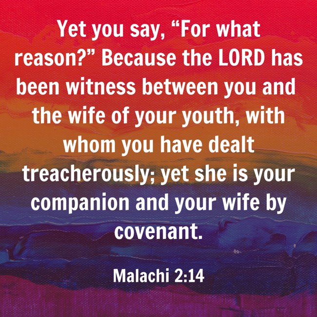 Yet you say, “For what reason?” Because the LORD has been witness between you and the wife of your youth, with whom you have dealt treacherously; yet she is your companion and your wife by covenant. - Malachi 2:14