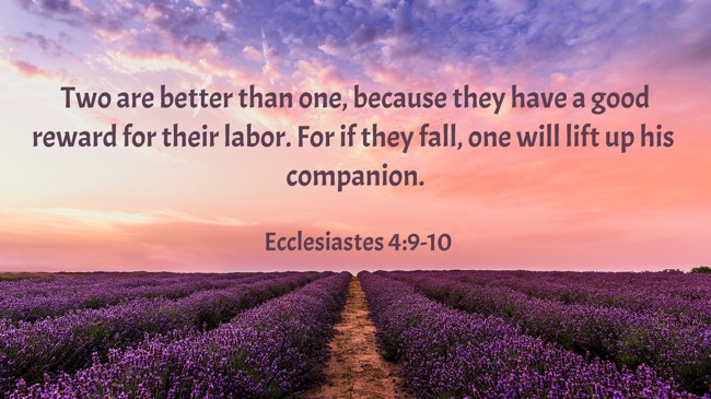 Two are better than one, because they have a good reward for their labor. For if they fall, one will lift up his companion. - Ecclesiastes 4:9-10