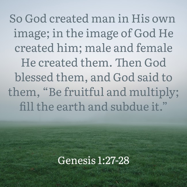 So God created man in His own image; in the image of God He created him; male and female He created them. Then God blessed them, and God said to them, “Be fruitful and multiply; fill the earth and subdue it.” - Genesis 1:27-28