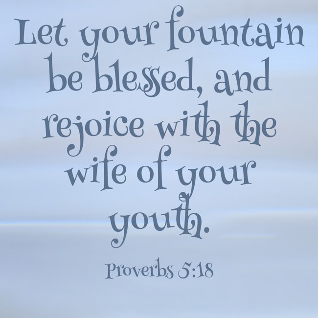 Let your fountain be blessed, and rejoice with the wife of your youth. - Proverbs 5:18