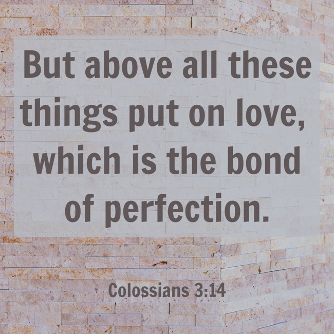 But above all these things put on love, which is the bond of perfection. - Colossians 3:14