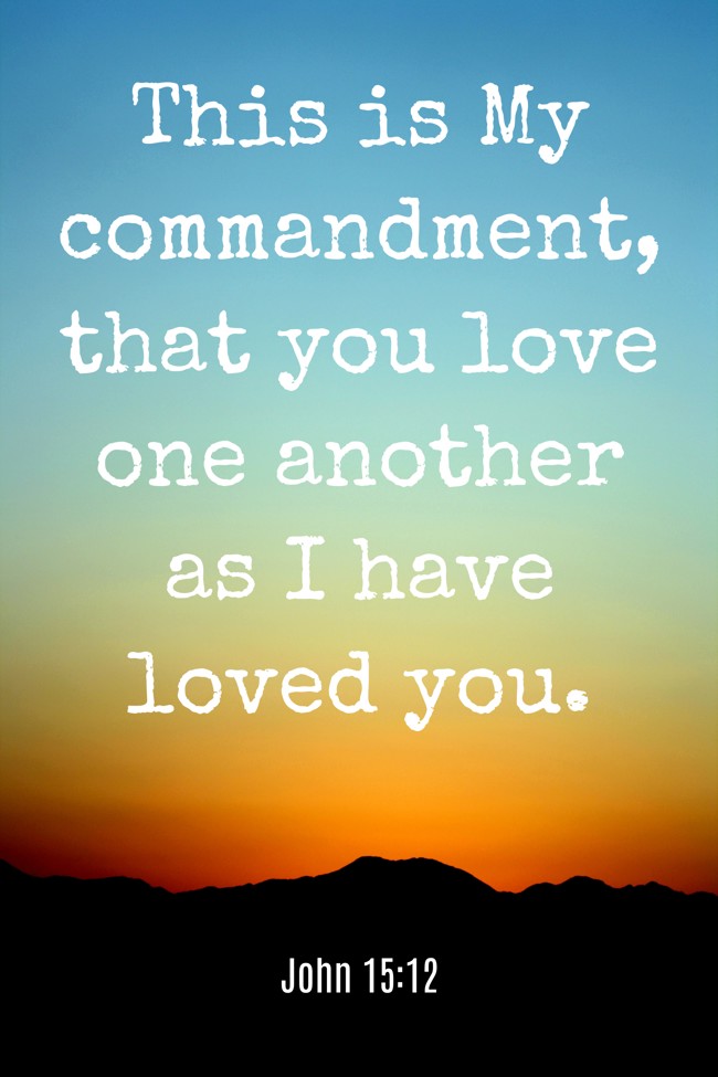 This is My commandment, that you love one another as I have loved you. - John 15:12