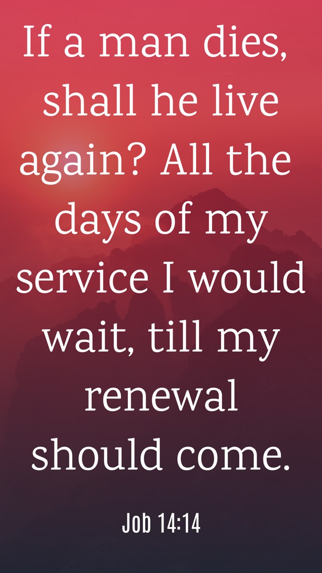 If a man dies, shall he live again? All the days of my service I would wait, till my renewal should come. - Job 14:14